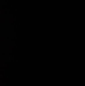 Meet your Posher, Greg